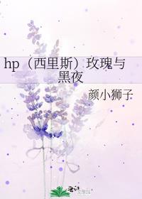 小说《玫瑰与西服》